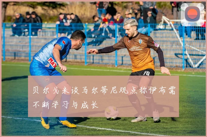 贝尔戈米谈马尔蒂尼观点称伊布需不断学习与成长
