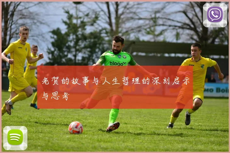 老贺的故事与人生哲理的深刻启示与思考