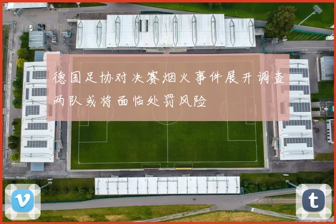德国足协对决赛烟火事件展开调查两队或将面临处罚风险