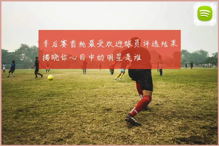 季后赛首轮最受欢迎球员评选结果揭晓你心目中的明星是谁