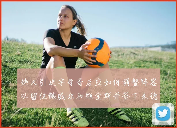 热火引进字母哥后应如何调整阵容以留住鲍威尔和维金斯并签下米德尔顿